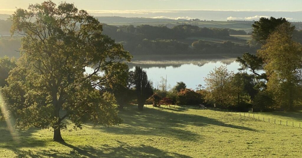 Visite de jardins enchanteurs en Irlande du Nord : Beauté naturelle et patrimoine culturel riche