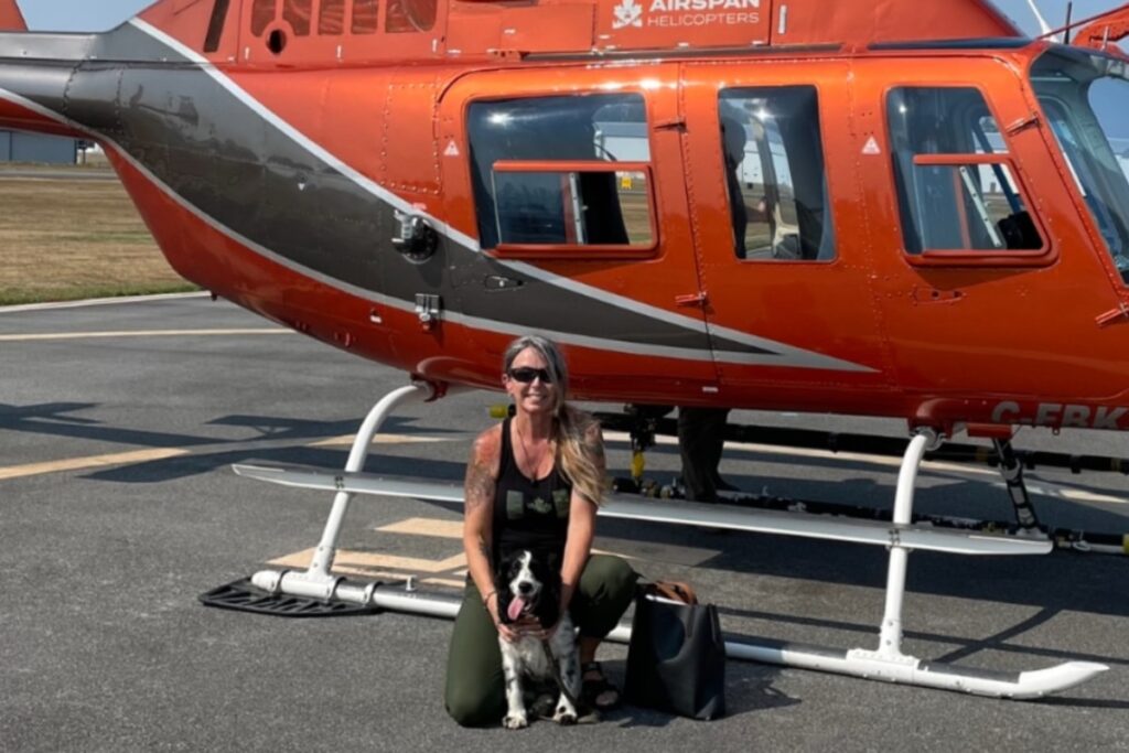 Chien de chasse aux punaises de lit : vivantes ou mortes, de Victoria jusqu'au nord de la Colombie-Britannique