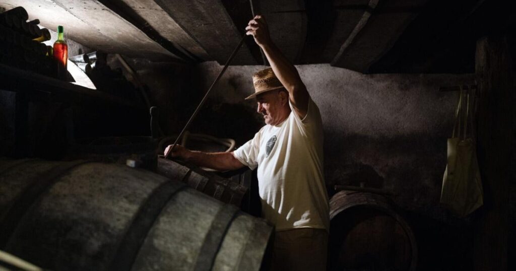 En Slovénie, mes soirées animées de dégustations de vin accompagnent des journées pleines de fleurs sauvages