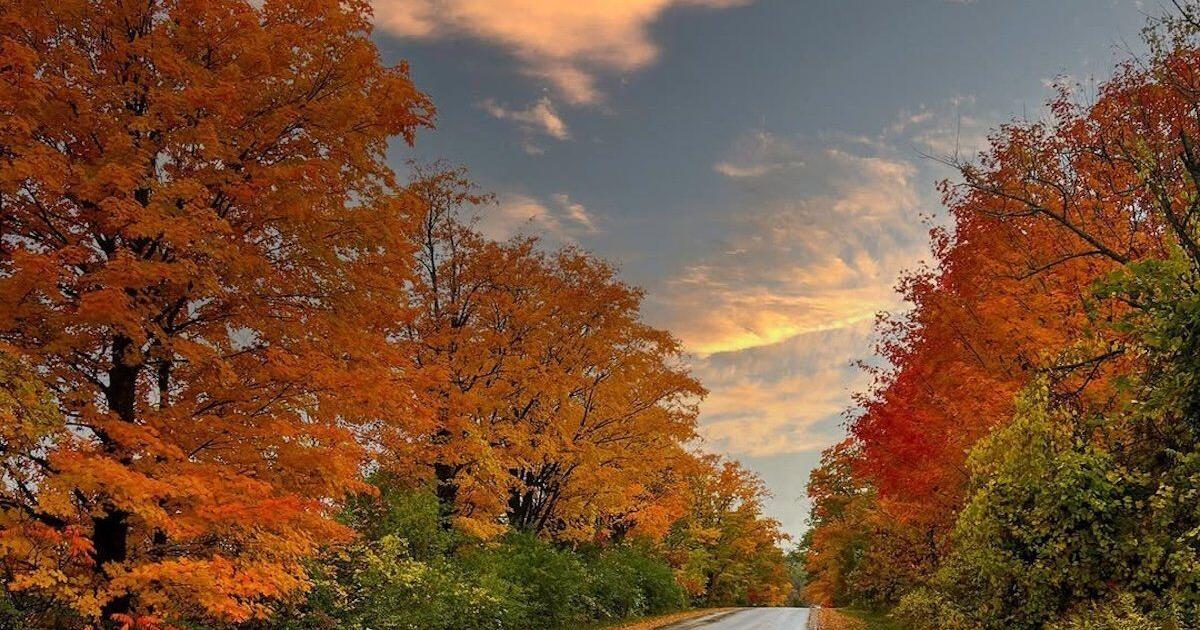 Les charmantes villes de l'Ontario à découvrir lors d'une escapade automnale sur la route des Kawarthas