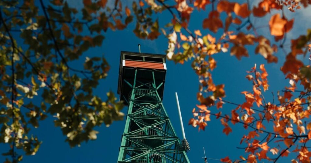 Tour emblématique offrant des vues spectaculaires d'automne sur le joyau du Nord de l'Ontario