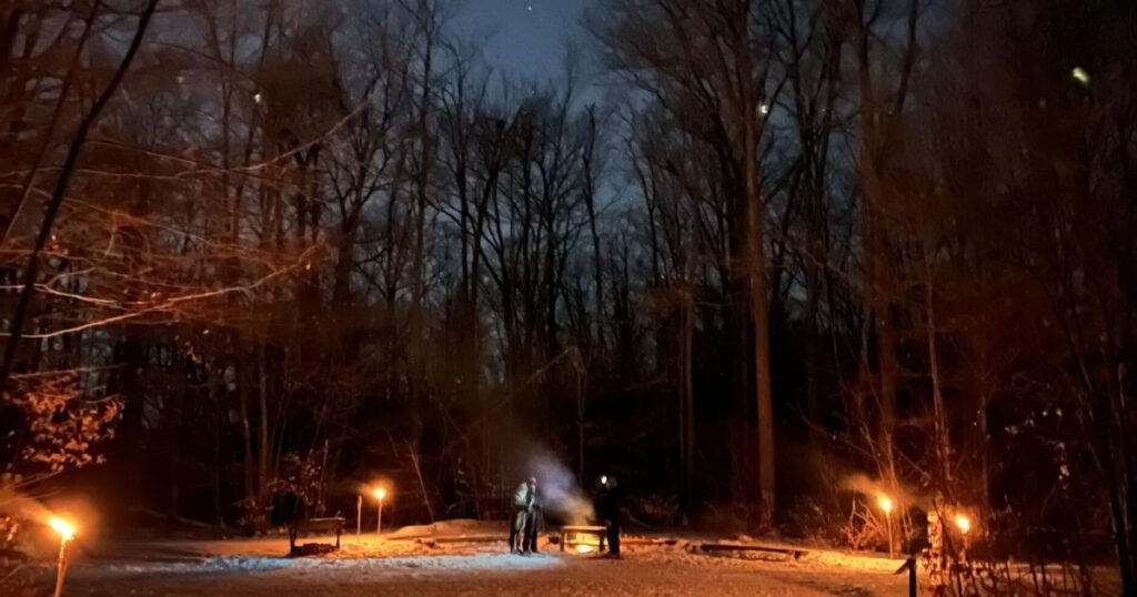 Un magnifique sentier lumineux d'hiver dans les bois près de Toronto, en Ontario