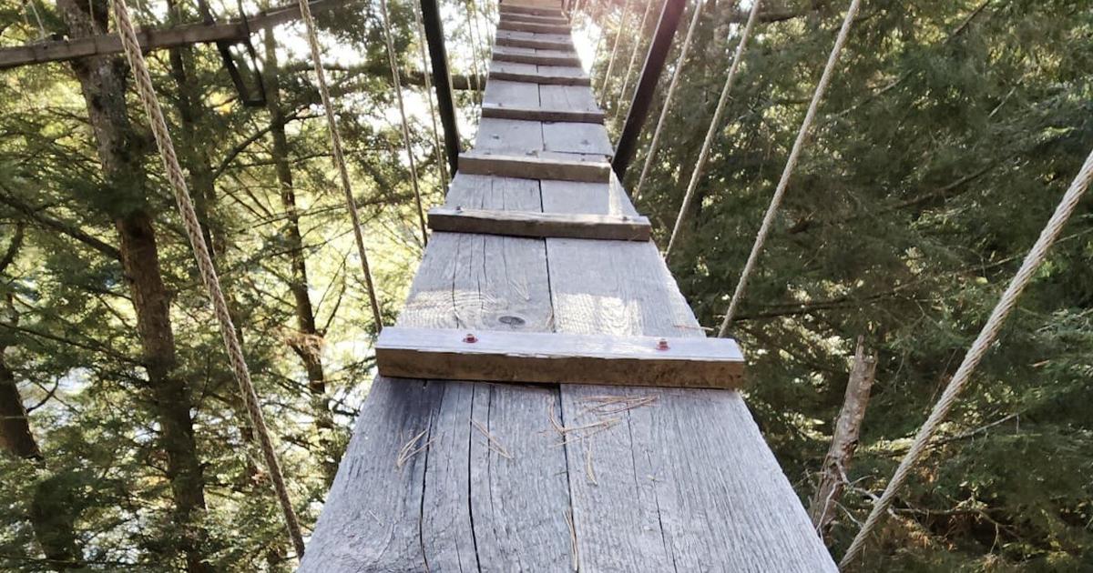 La plus longue promenade dans la canopée au monde traverse la cime des arbres dans cette majestueuse forêt de l’Ontario