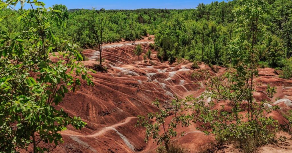 Terrain rouge rare dans un charmant village de l'Ontario, âgé de plus de 400 millions d'années, un phénomène hors du commun