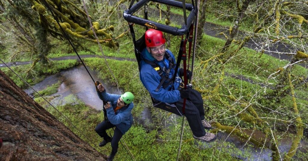 Aventures à sensations fortes : les options croissantes pour les voyageurs handicapés en quête d'adrénaline
