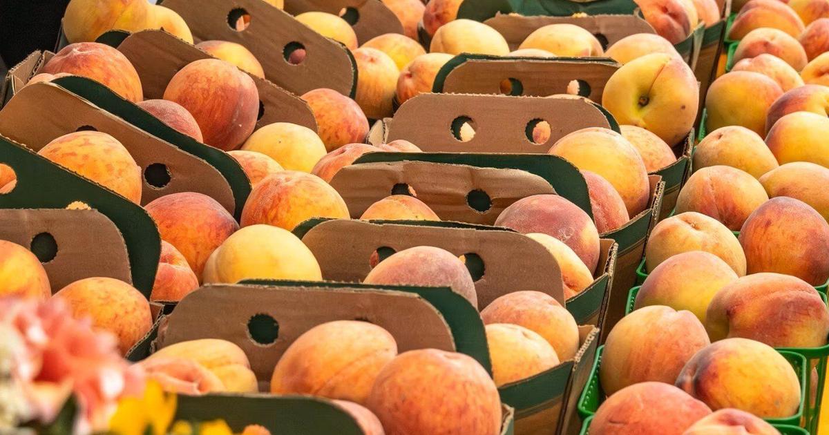 L'une des plus belles petites villes de l'Ontario organise un festival estival de fruits de 2 jours