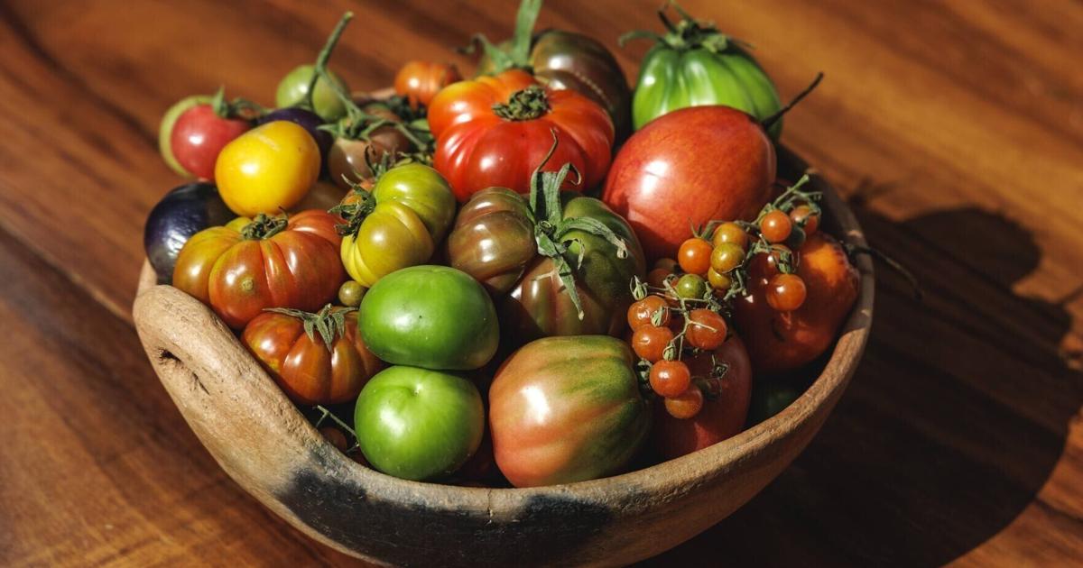 Eva Longoria qualifie cette salade de tomates « parfaite » : notre voyage au Mexique pour goûter la célèbre salade de tomates du monde