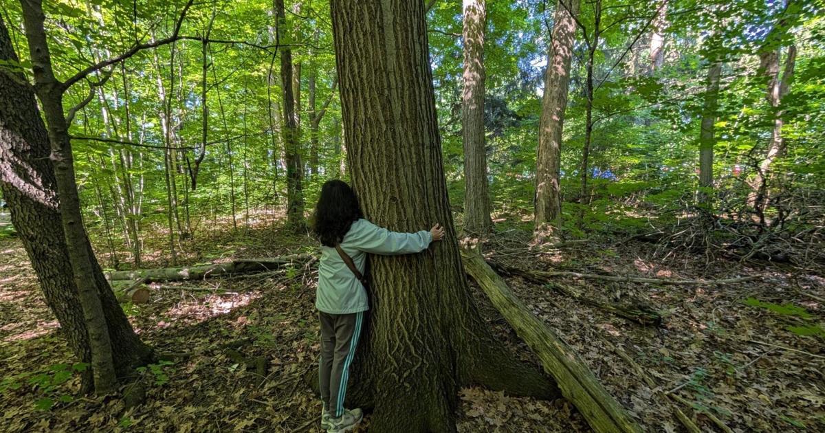 J'ai testé la baignade en forêt à Milton’s Rattlesnake Point et j'ai découvert que cette expérience thérapeutique est réellement efficace