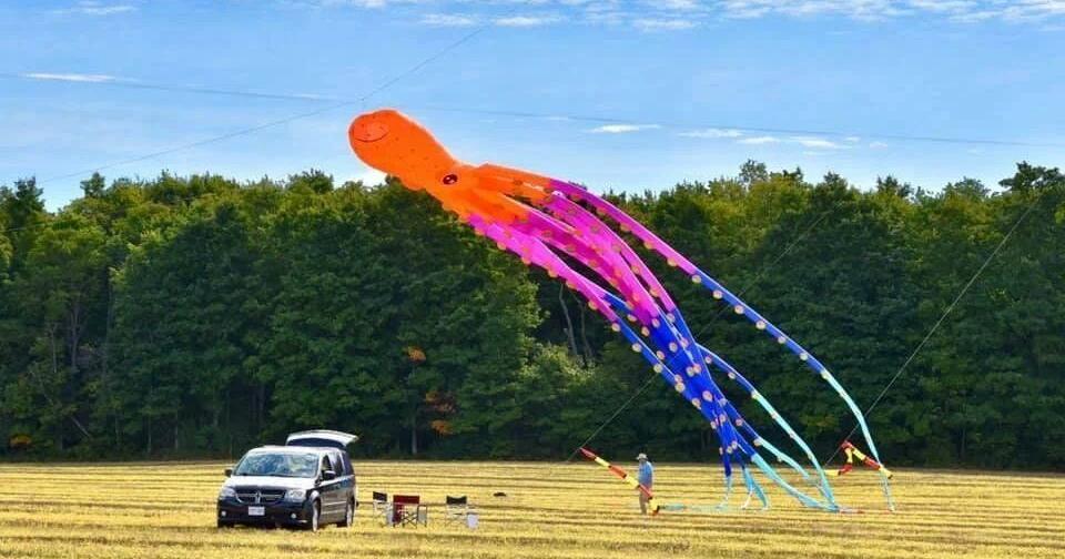 Le plus grand festival de cerfs-volants de l'Ontario revient ce week-end dans cette charming ville — entrée gratuite