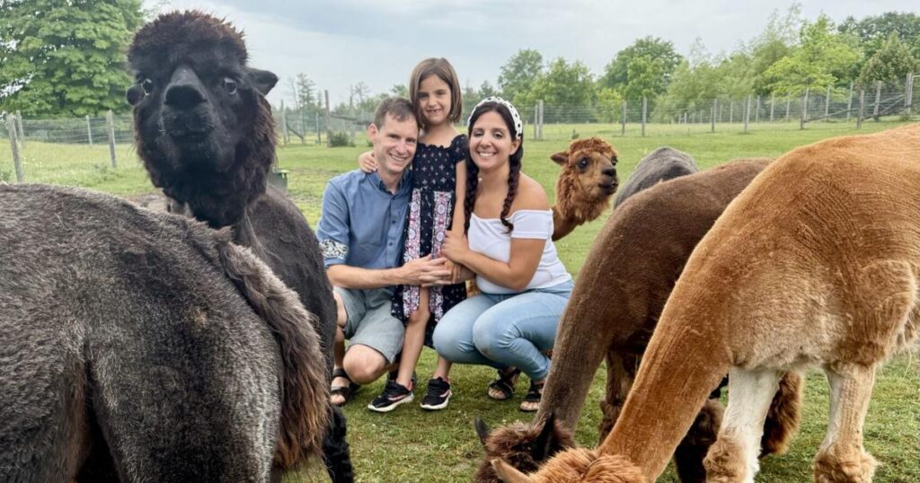 Visite en famille d'une ferme d'alpagas dans le sud de l'Ontario : rencontres mignonnes, photos inoubliables et coup de cœur assuré