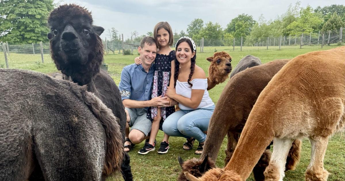 Visite en famille d'une ferme d'alpagas dans le sud de l'Ontario : rencontres mignonnes, photos inoubliables et coup de cœur assuré