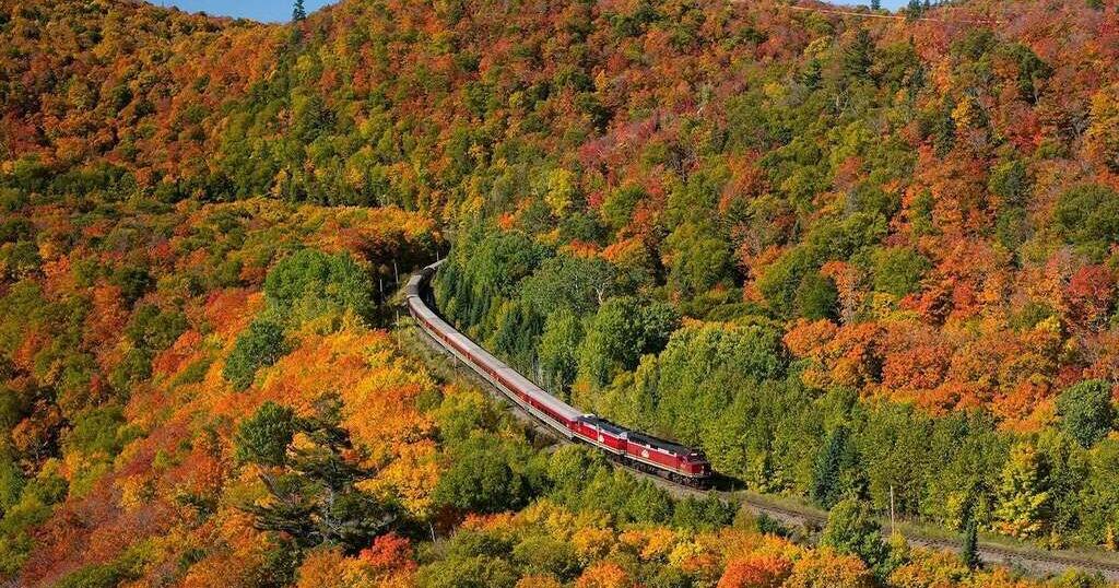 Balade en train pittoresque de 10 heures à travers les magnifiques couleurs automnales de l’Ontario avec des vues inoubliables