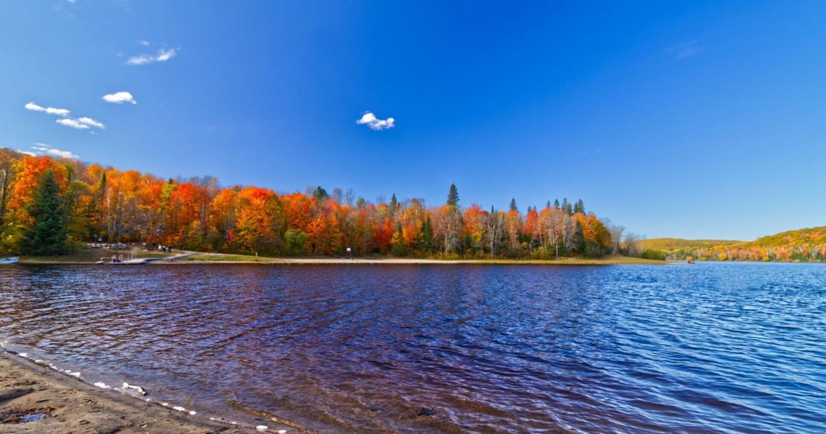 Carte des couleurs d'automne en Ontario : quand voir le spectacle des feuilles aux meilleures couleurs