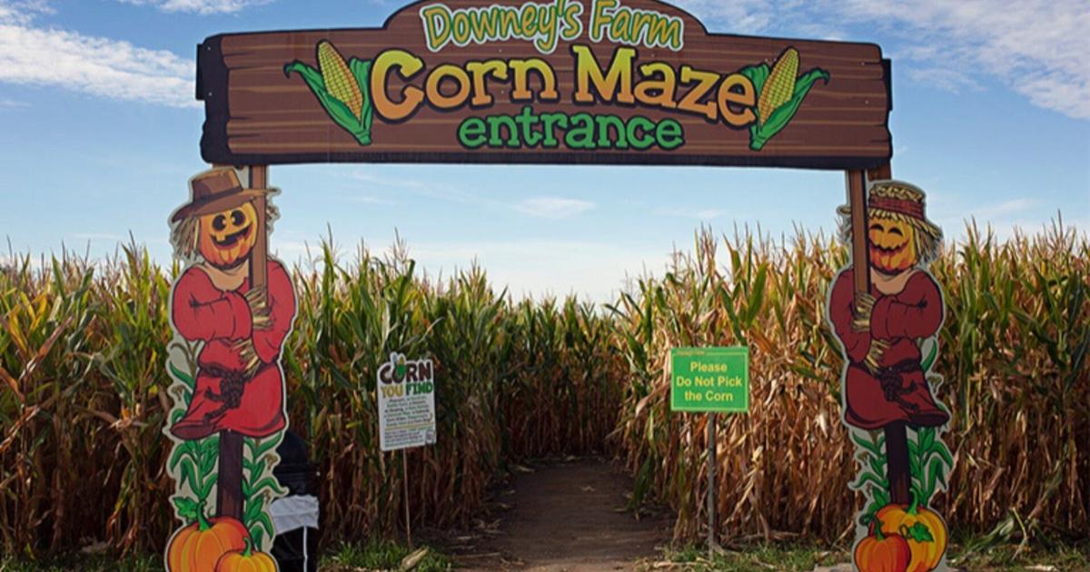 Ferme familiale de 100 acres en Ontario avec un labyrinthe de maïs de 8 kilomètres