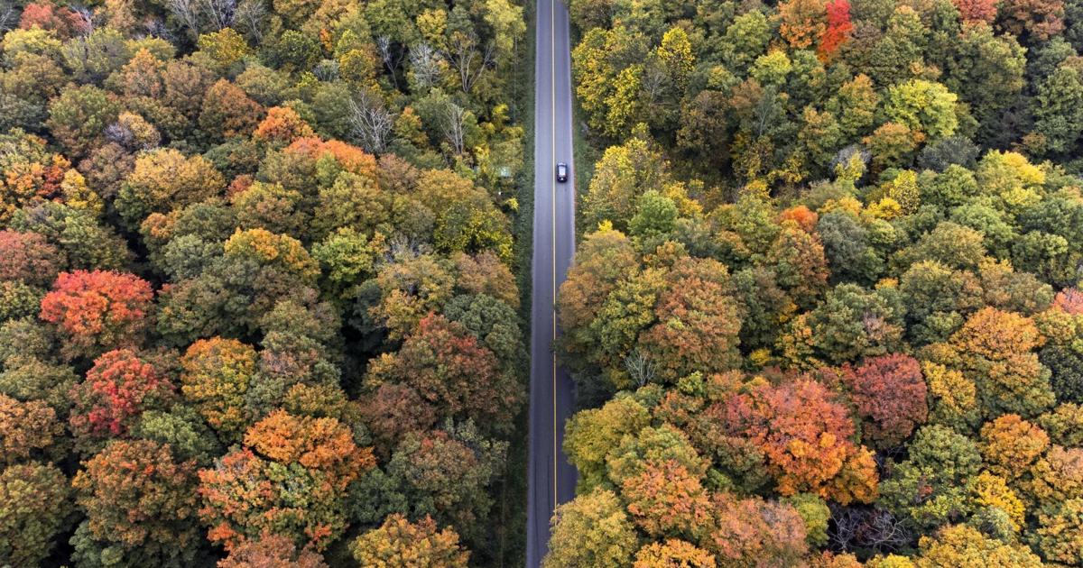 Voyage en Ontario : Les meilleures escapades, excursions d'une journée, joyaux cachés et adresses gourmandes à découvrir cette saison