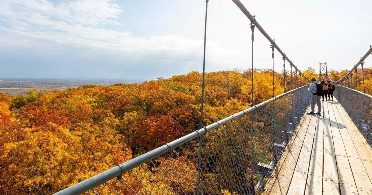 Guide complet pour voyager en Ontario en automne : horaires d'ouverture du Thanksgiving, sentier Credit Valley et chutes du Niagara en octobre