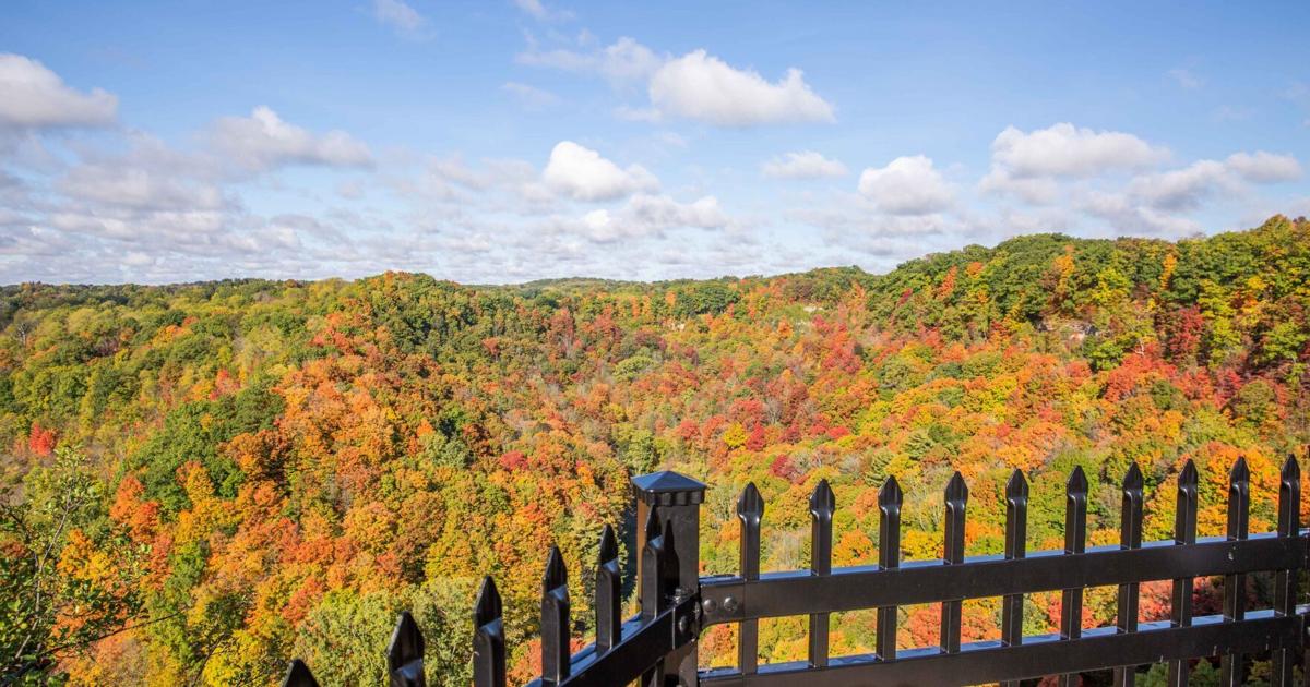 Guide du voyage automnal en Ontario : les couleurs d'automne au parc Algonquin approchent de leur pic alors que la saison de voyage automnale en Ontario commence