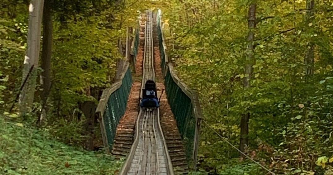 Montagnes russes bleues à Blue Mountain : un parcours de 1 km à travers les couleurs d’automne de l’Ontario