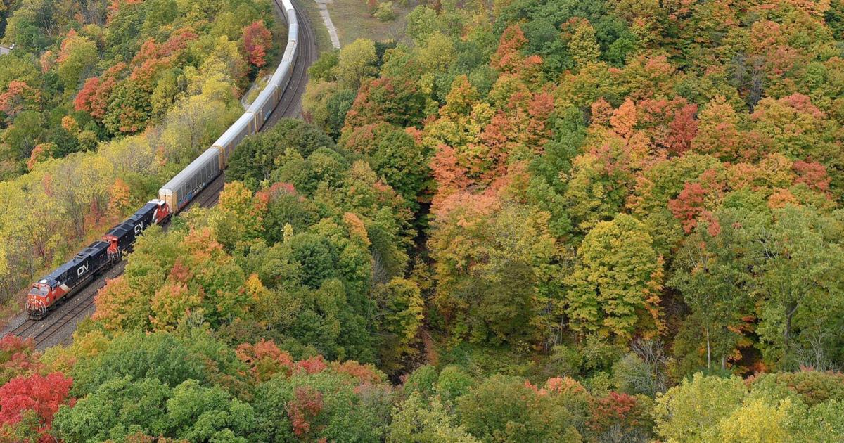 Spectacle d'automne : Six sites magnifiques à explorer autour de Hamilton cet automne